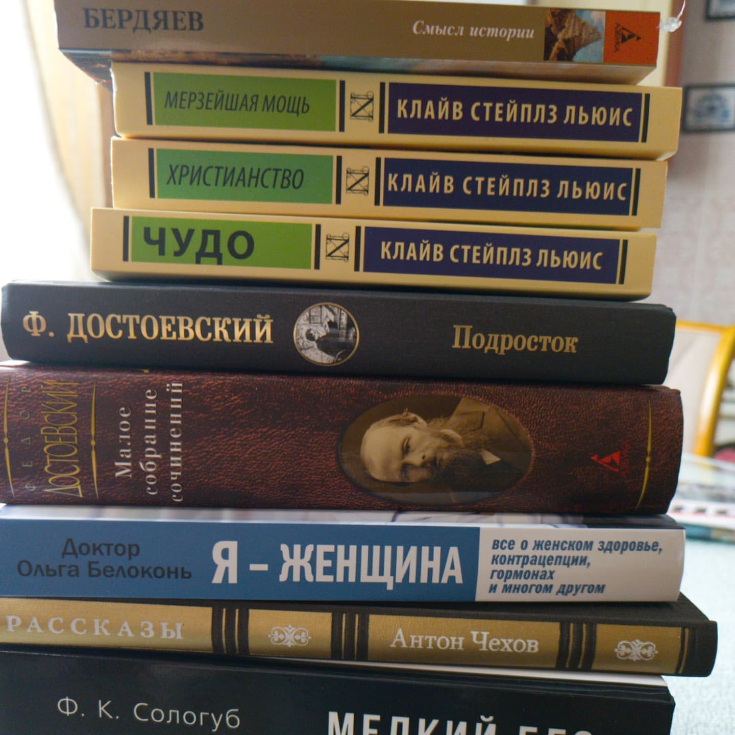 38natella_ в LOOKY. #книги#классика#чтение#достоевский#чехов#льюисклайв. К новогодним каникул...