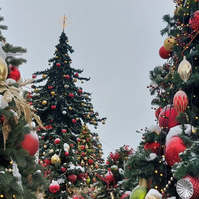inst201605 в LOOKY. . 🎄