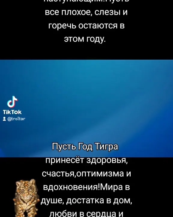 alina.troitskaia в LOOKY. . https://vm.tiktok.co...