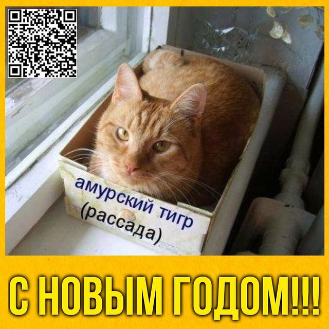 myaso_perm_taya_te9ps1k в LOOKY. #ресторанпермь,#доставкапермь,#крабовыепалочкипермь,#семгапермь,#форельпермь,#минтайпермь,#пресервыпермь,#икрапермь,#воблапермь,#сушенаярыбапермь,#горячеекопчениепермь,#холодноекопчениепермь,#скумбрияпермь,#путасупермь,#селедкапермь,#пермь,#доставкарыбыпермь,#сушипермь,#роллыпермь,#доставкапермь,#пиццапермь,#едапермь,#столоваяпермь. #ресторанпермь	#дост...