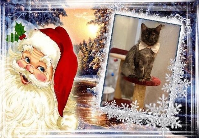 dinn_xt в LOOKY. . Приветики наши дорог...