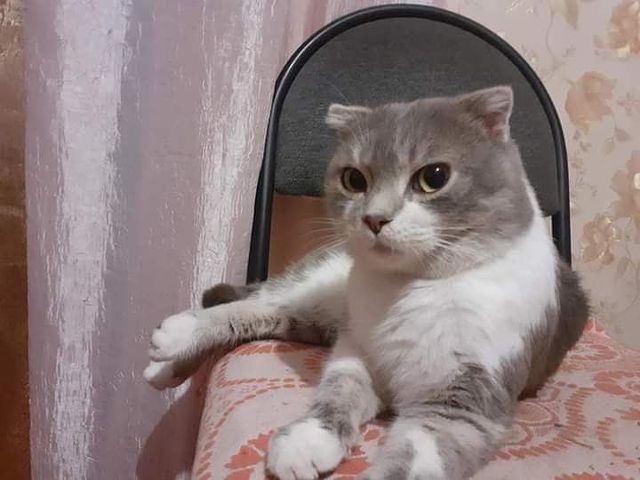 vladislavski в LOOKY. . null