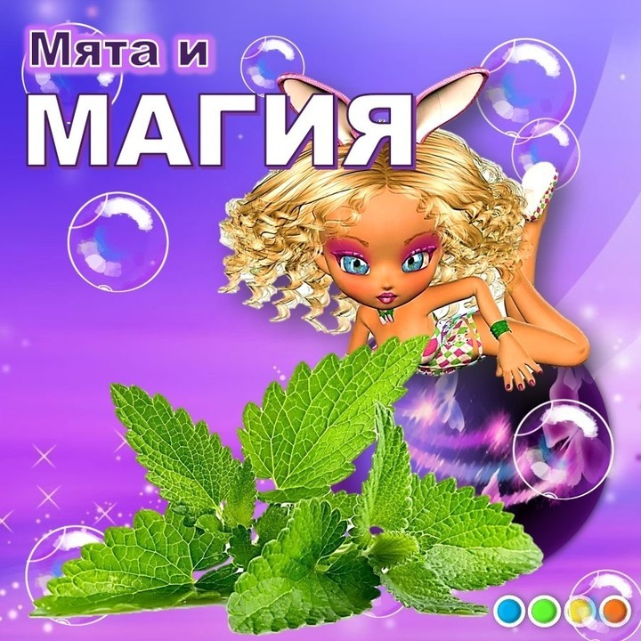 kulakova_irina_zhk в LOOKY — Мята привлекает деньги

💙 Эту замечательную траву легко най