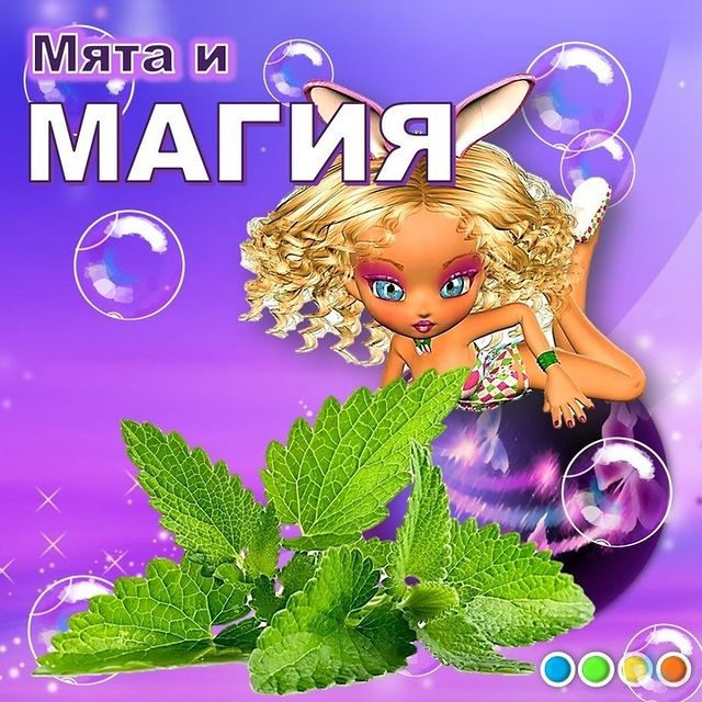 kulakova_irina_zhk в LOOKY. #иринакулакова,#мята,#привлечьденьги,#немногомагии,#женскийклубИК,#женский_клубИК,#финансовыйуспех. Мята привлекает день...