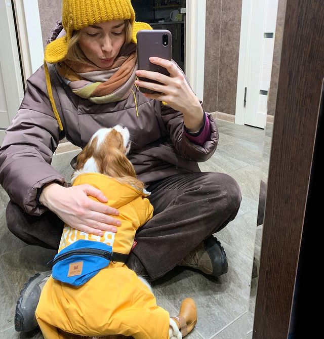alinaizberlina в LOOKY. #cavalierkingcharlesspaniel,#кавалеркингчарльзспаниель,#собакаулыбака. Новогоднее чудо у ка...