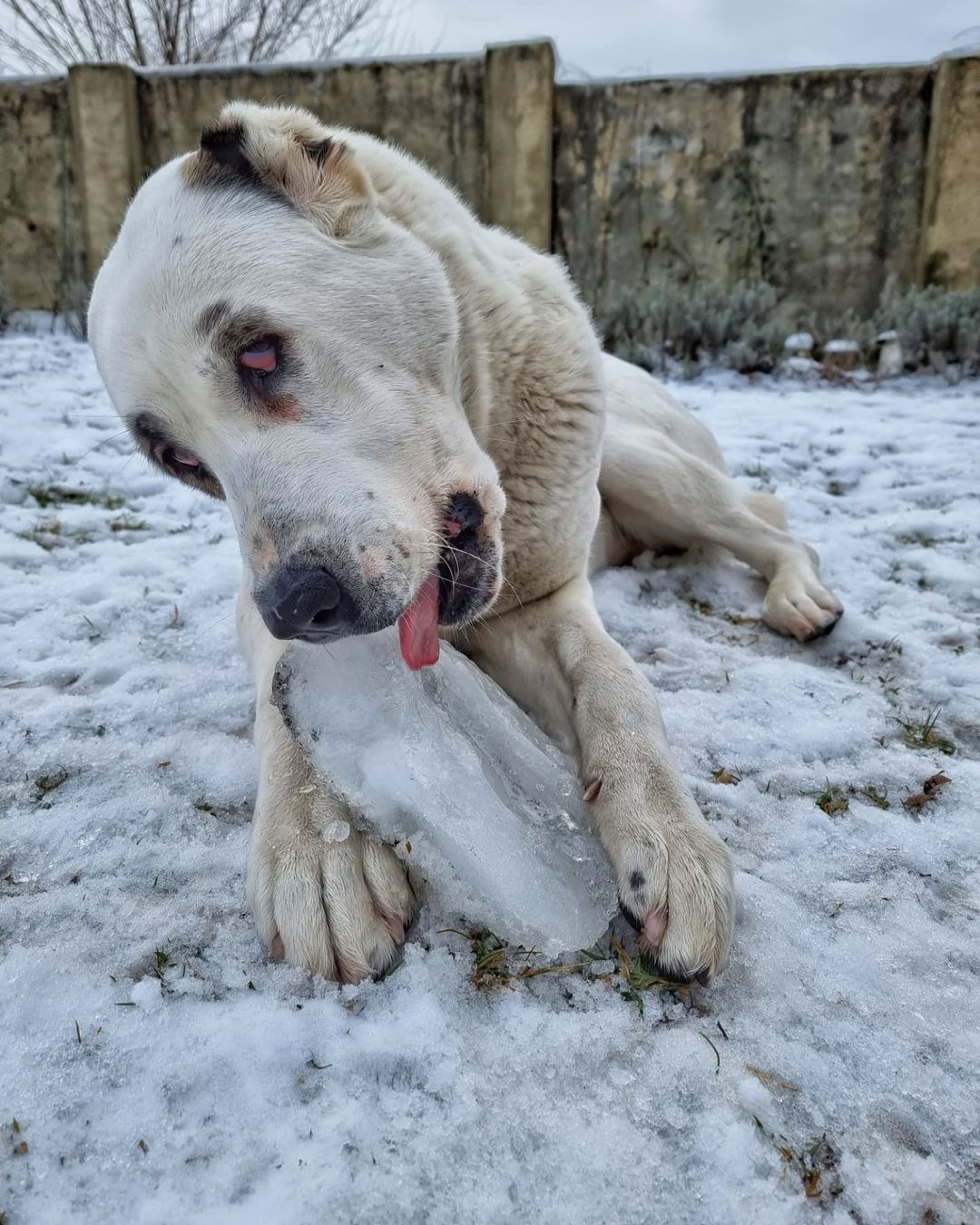 vovazolin в LOOKY — фото 8