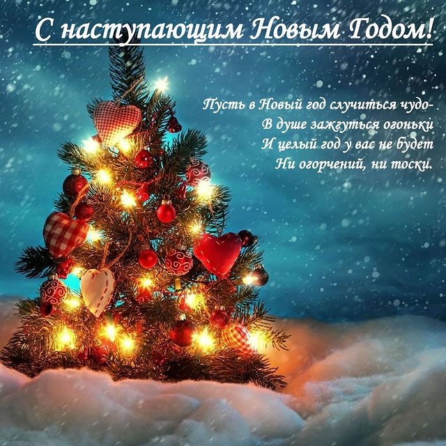 e_p_design в LOOKY. . null