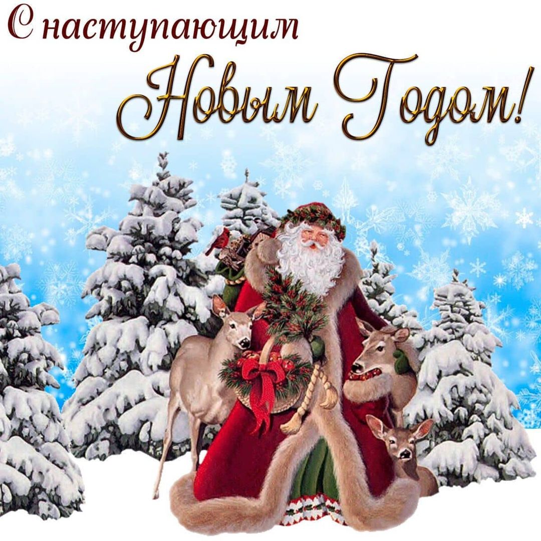 modnyj42 в LOOKY — публикация