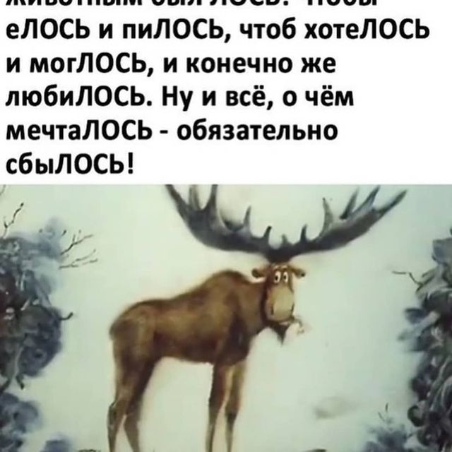 lushnikovaelvira в LOOKY. . null