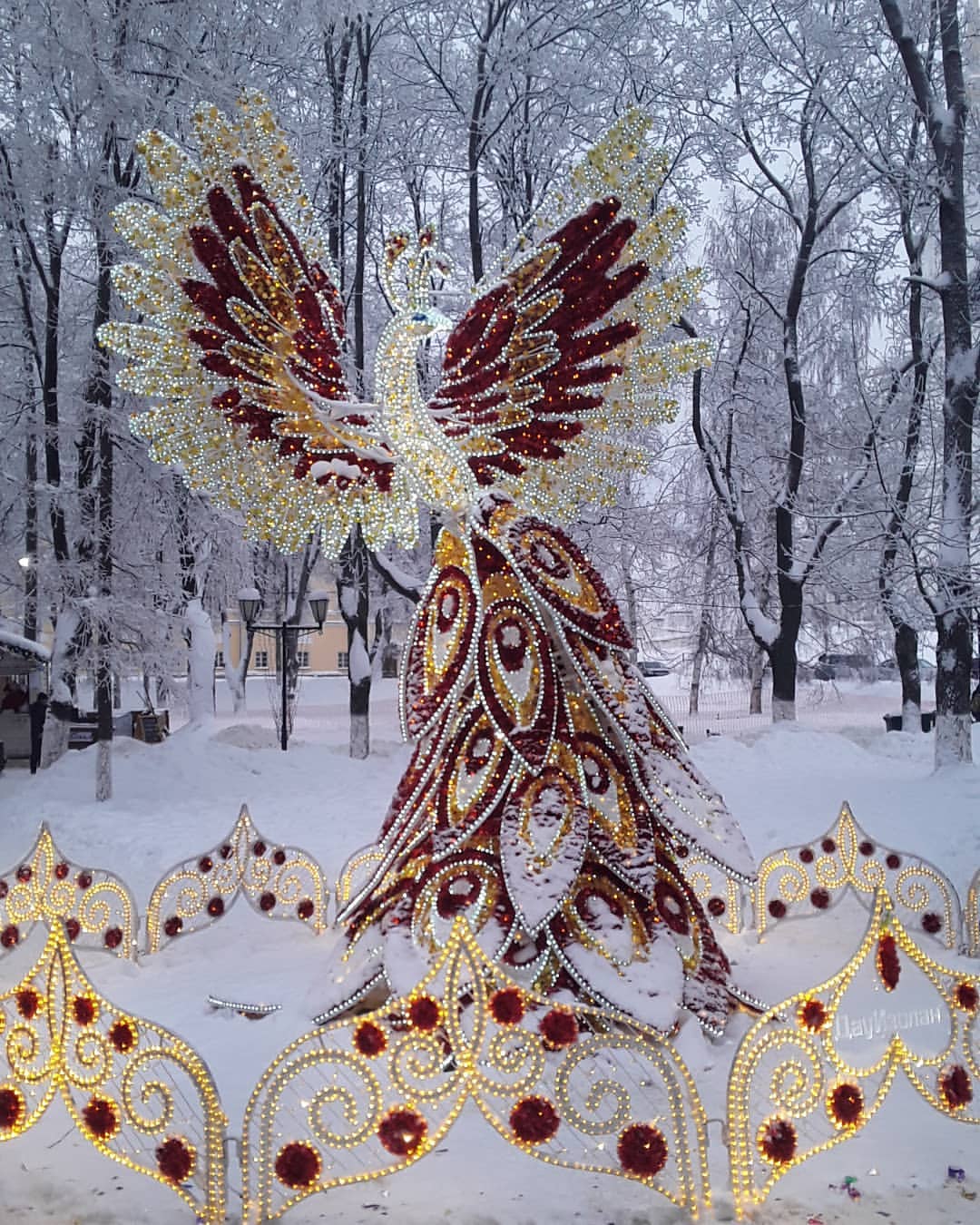 jullia_7670 in LOOKY. . Жар-птица