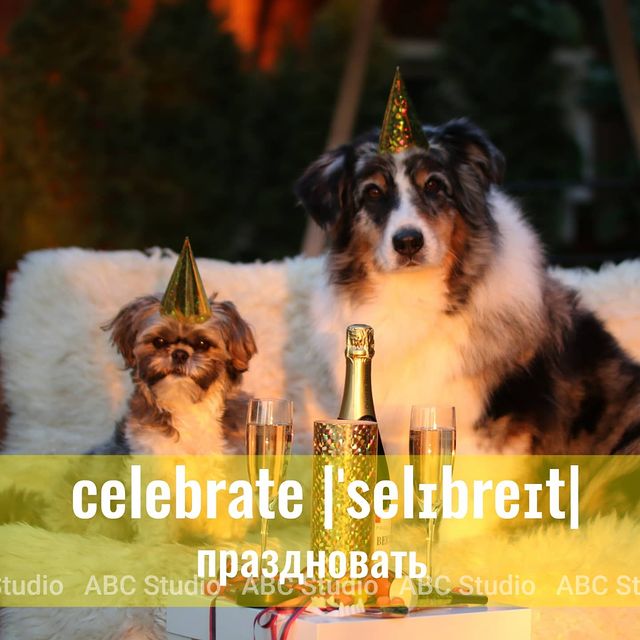 abcstudioonline в LOOKY. #английский,#английскийязык,#английскийонлайн,#учитьанглийский,#учитьанглийскийонлайн,#английскиеслова,#английскиесловаспереводом,#красивыеслованаанглийском,#словарныйзапаснаанглийском. How do you usually c...