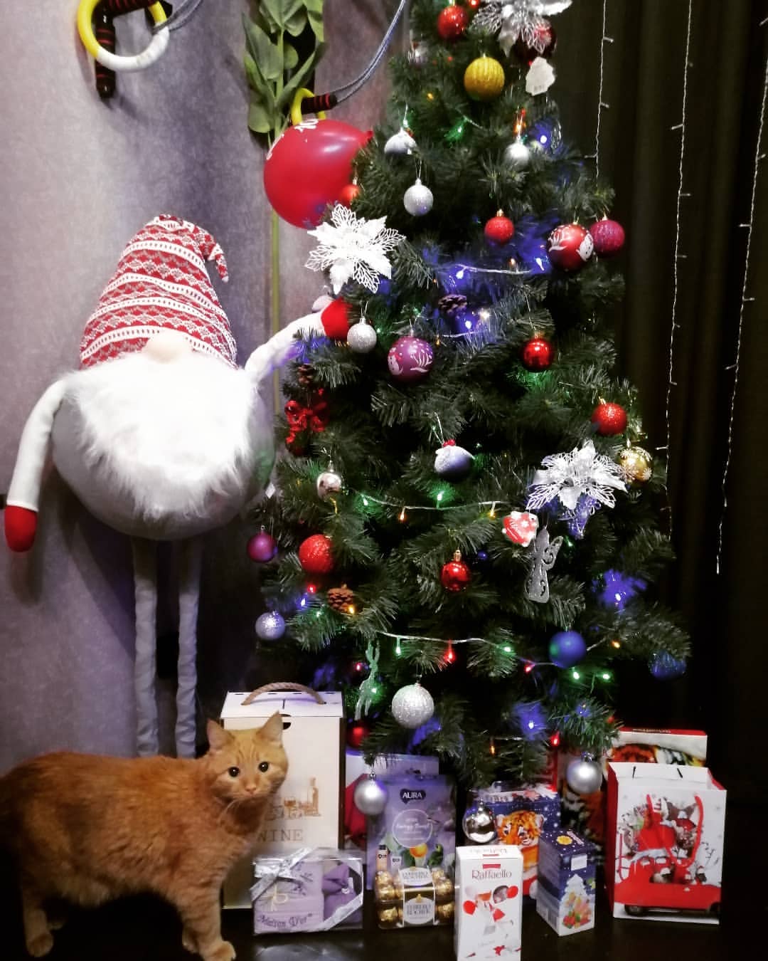 😸
