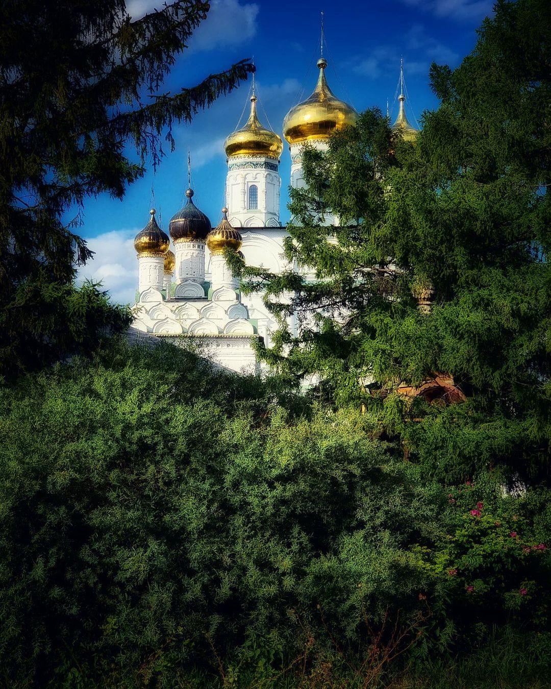 ilprudnikov в LOOKY — публикация