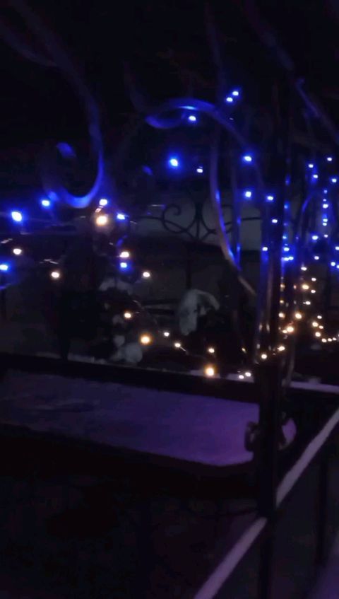 l.e._l.e.n.a в LOOKY. #сновымгодом,#happynewyear,#любимаядача,#новыйгод2022,#беседка,#новыйгоднадаче,#зима2022,#winter,#winter2022,#дачазимой,#зиманадаче,#гирлянда,#праздник,#каникулы,#новогодняябеседка,#сказка,#волшебно,#уличнаягирлянда,#красиво,#снег,#сугробы. Наша дачная новогодн...