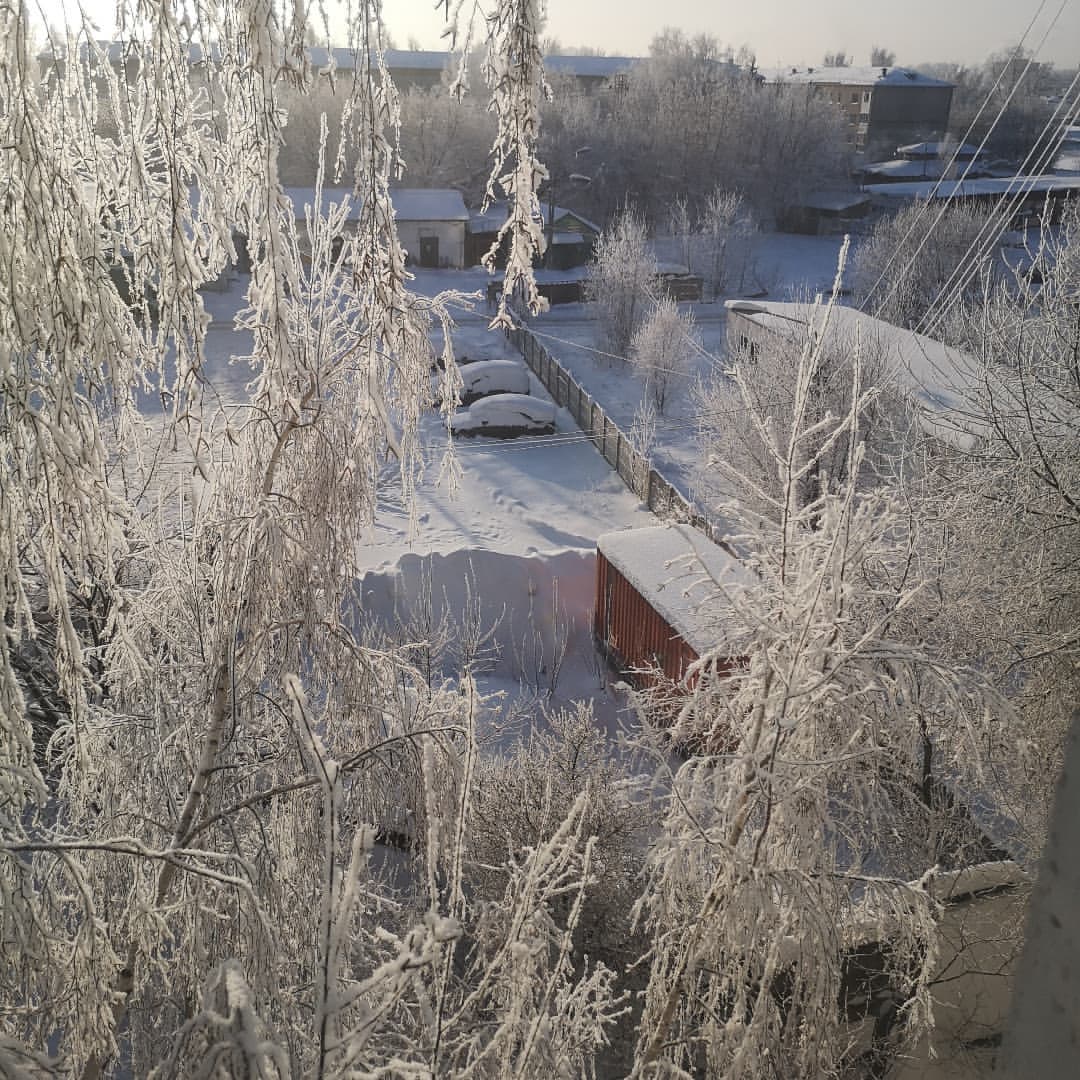 diananimfs в LOOKY — 29 декабря... Яркое солнце, заснеженные деревья, приятный мо