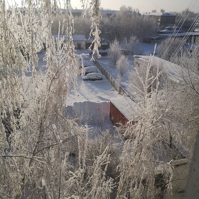 diananimfs в LOOKY. #зима,#winter,#inspiration,#сегоднятак. 29 декабря... Яркое ...