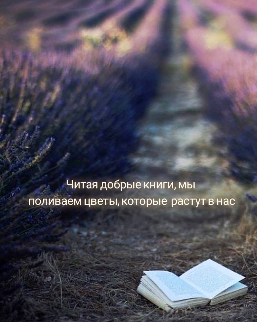 julia_fluffybone в LOOKY — Я не люблю подводить итоги (они же меня не подводят обычно..