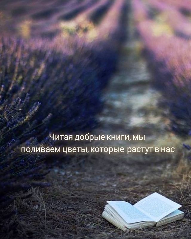 julia_fluffybone в LOOKY. #итогигода. Я не люблю подводить...
