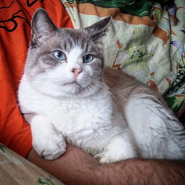 diananimfs в LOOKY. #Венька. Центр нашей маленько...