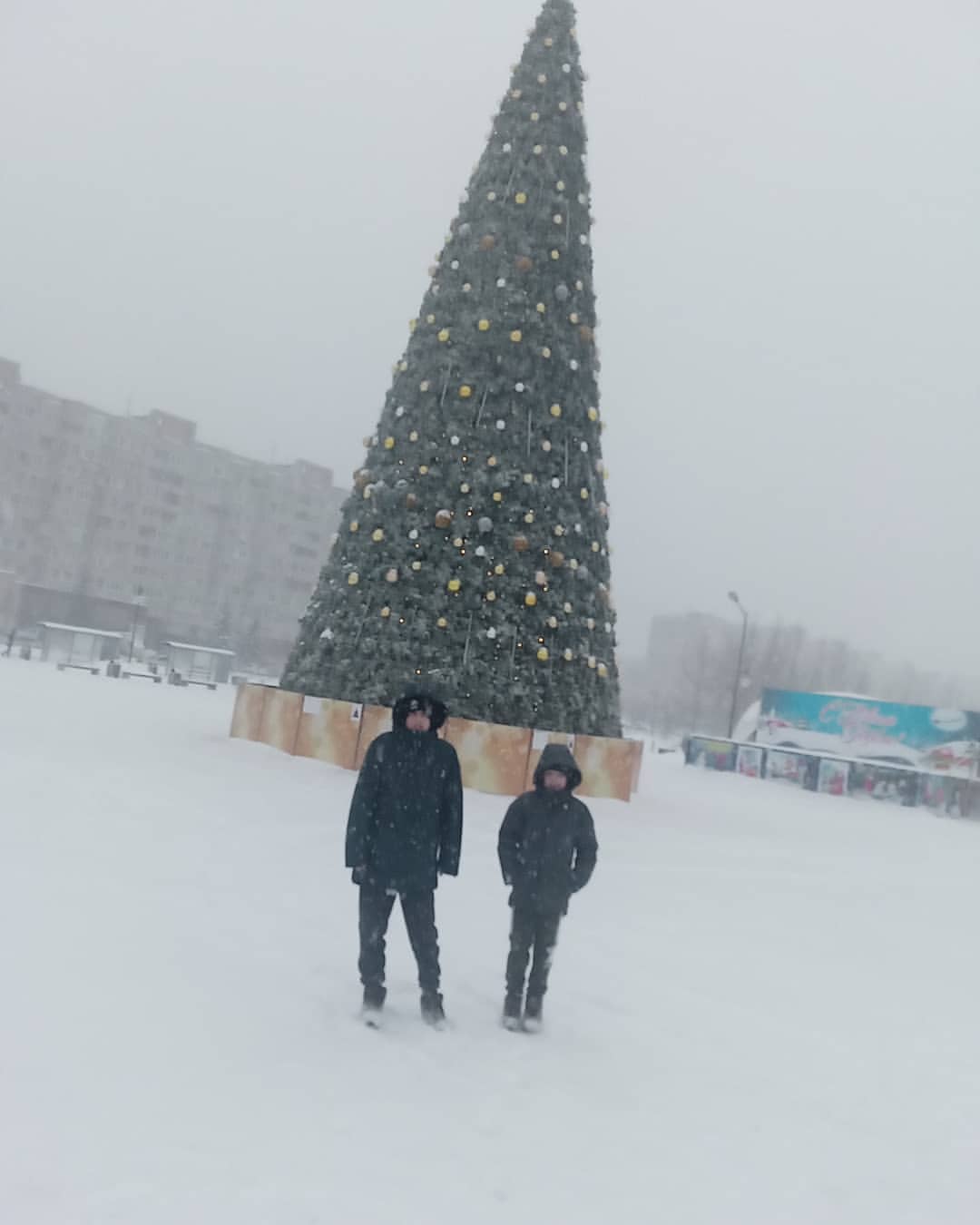 kris.shewchenko в LOOKY — Ёлочка в #Обнинске!