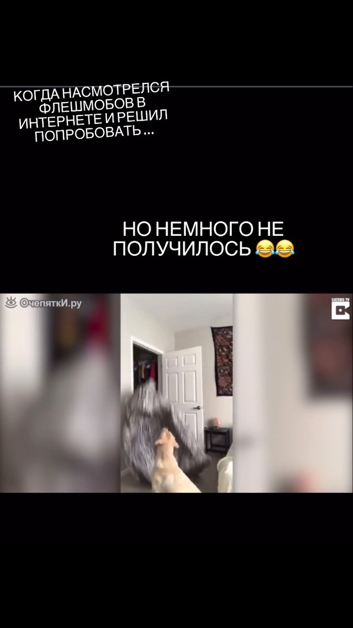 hellooobiches в LOOKY. . Оставлю это здесь 😂...