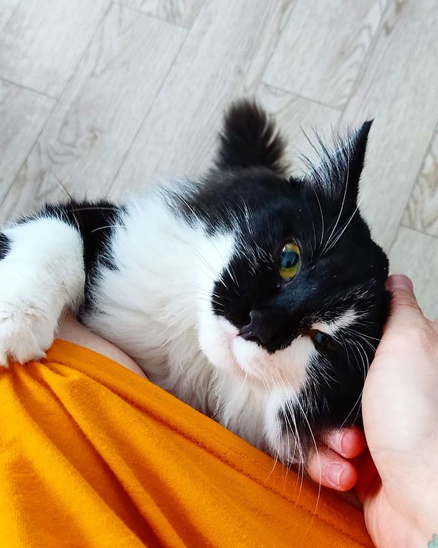 niutalisa в LOOKY. . Когда ну очень хочет...