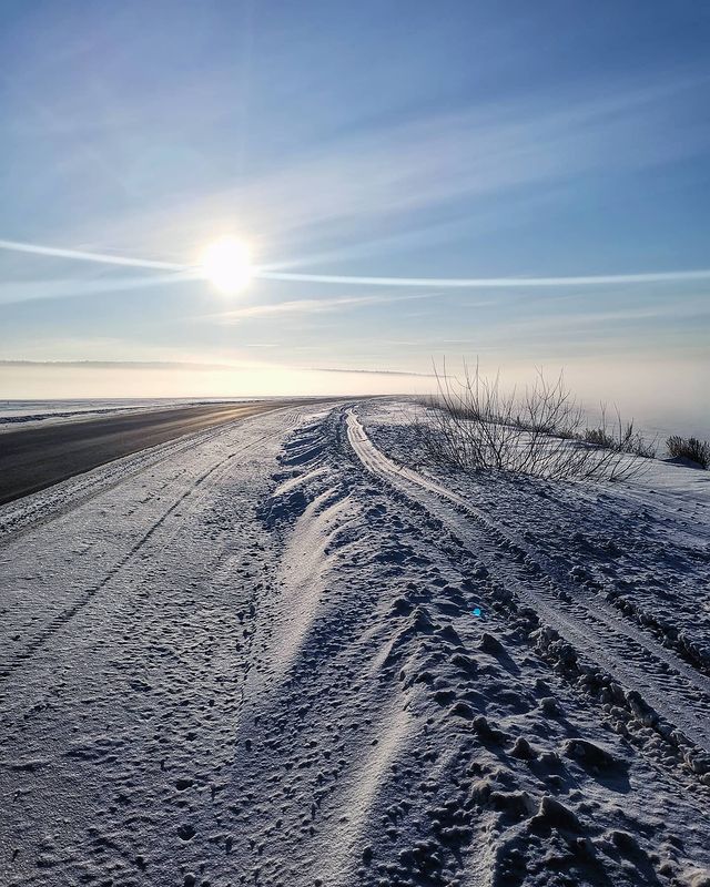 c_schwarz__ в LOOKY. . Маленькая Арктика ❄️