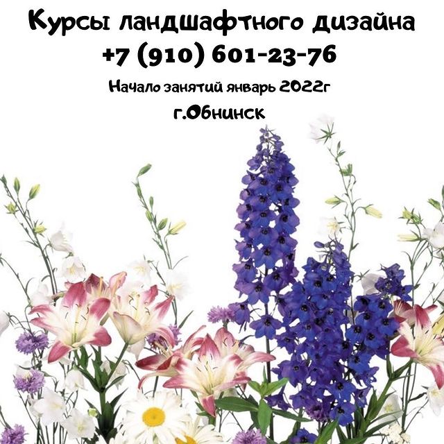 staroverova.proland в LOOKY. . ИДЁТ НАБОР НА КУРСЫ ...