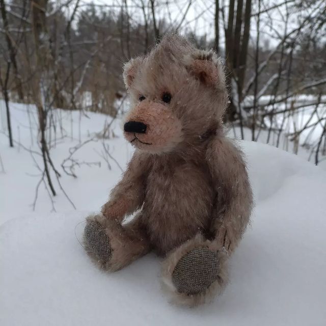 yura_senichkin в LOOKY. #тедди,#teddy,#teddy_bear,#teddybear,#теддимишка,#теддимедведи,#орловскоеполесье. #тедди #teddy #teddy...