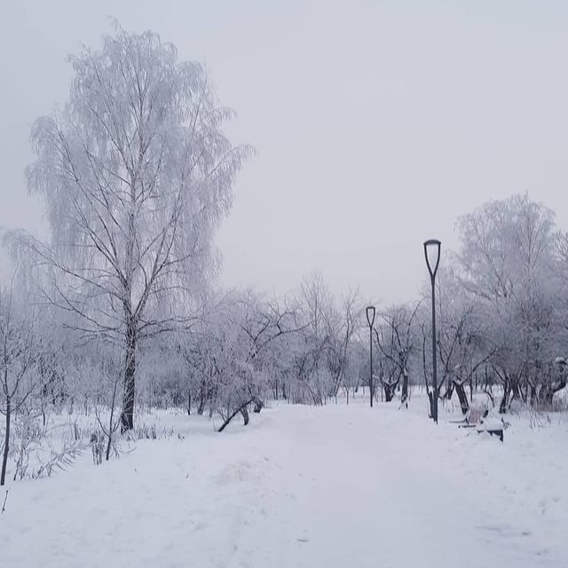 svetlanamaslova1783 в LOOKY. . null