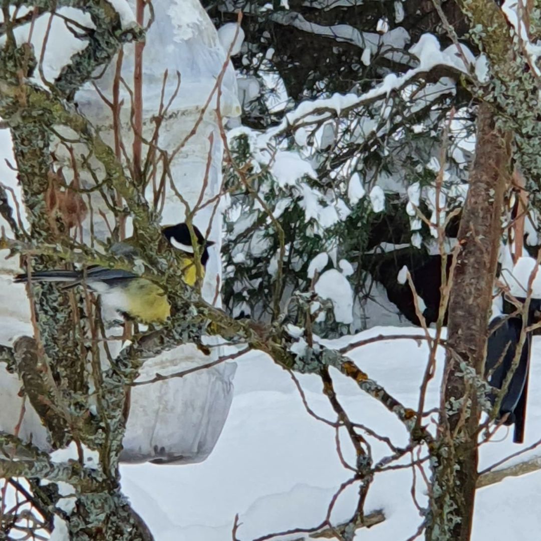  в LOOKY — фото 4