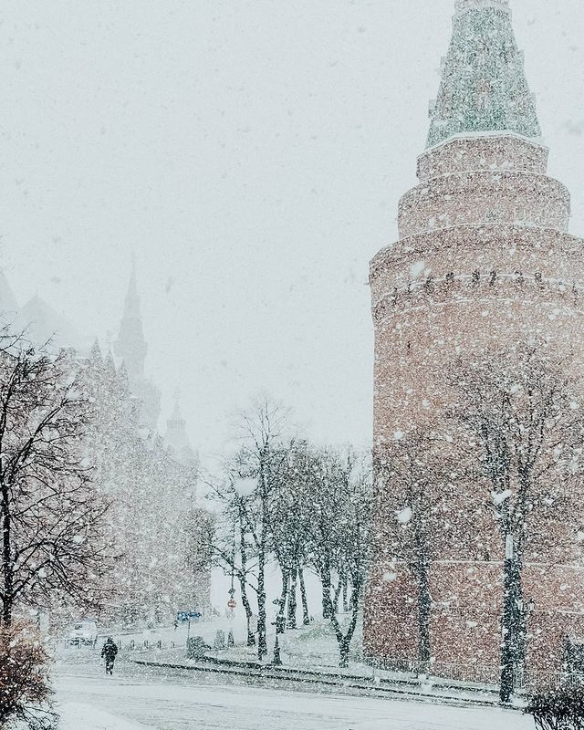 diplomat.ru в LOOKY. . null