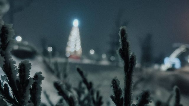diplomat.ru в LOOKY. . null
