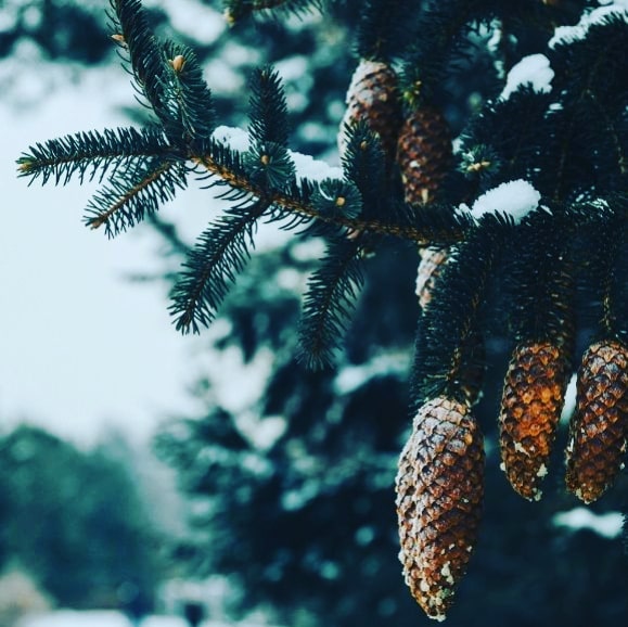 na_tashai5 в LOOKY. #lowewhereyuolive,#likeforlike,#follow,#instadaily,#followme,#follow4follow,#beautiful,#summer,#smile,#follow4follow,#красивыекартинки,#beautiful,#fun,#beautiful,#россия,#winter,#snow. #lowewhereyuolive #l...