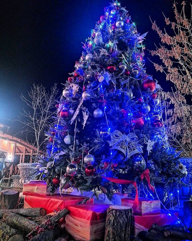 shulevmikhail в LOOKY. . null