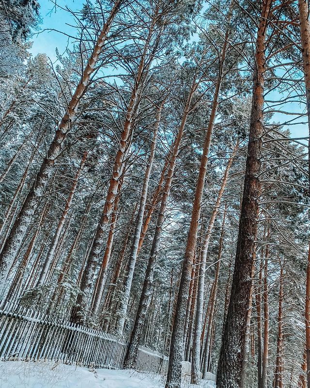 liza_shemetova_ в LOOKY. . null