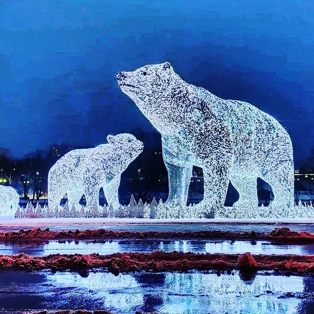 maxengmax в LOOKY. . Famous Russian bears...