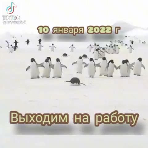 maxan_2019 в LOOKY. . null