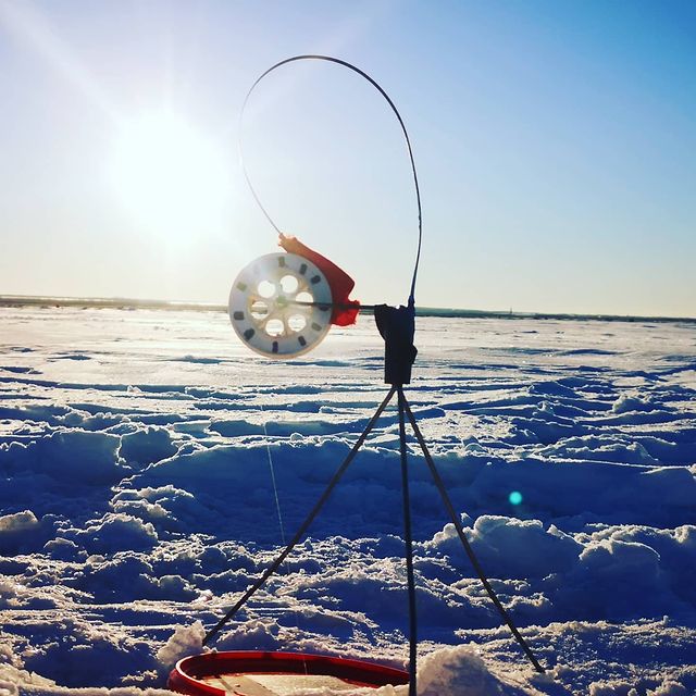 nero_fish в LOOKY. #жерлицы,#щука,#окунь,#рыба,#рыбалка,#зимняярыбалка,#1,#инста,#instafish,#fish,#fishing. Зимний закат на неро...