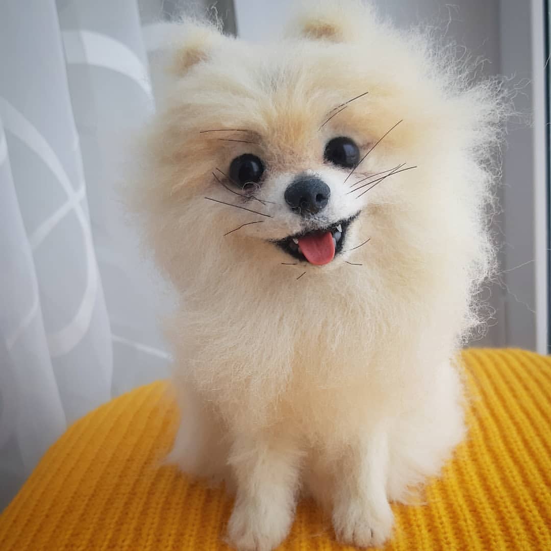kovkafreedom в LOOKY — фото 8