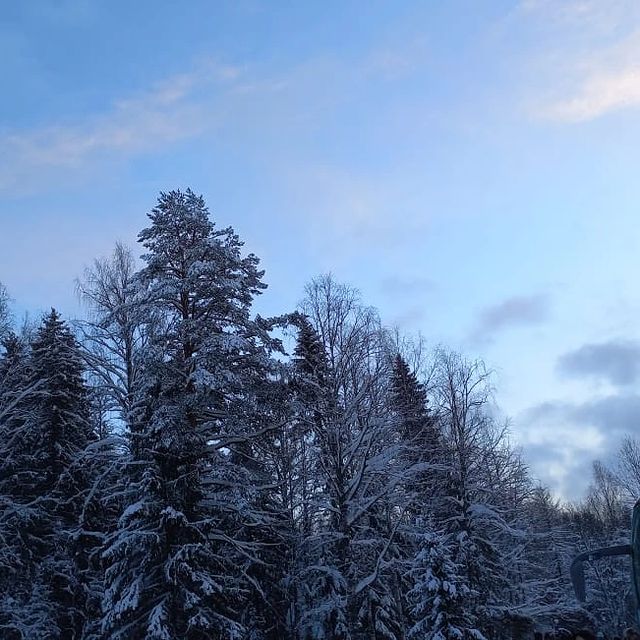 veroveonika в LOOKY. . - 25°
Настоящая зима...
