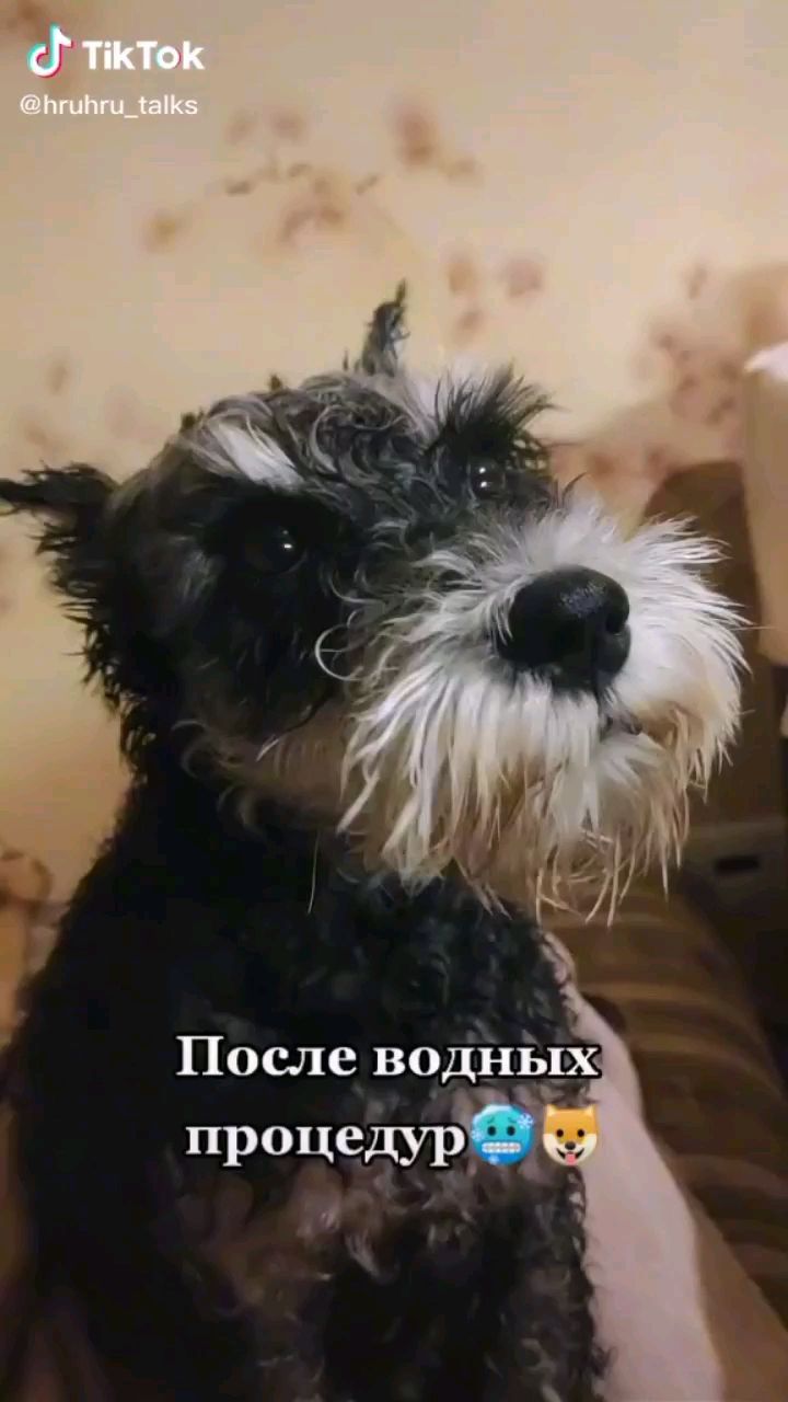 tsygankova_olga_ в LOOKY. . null