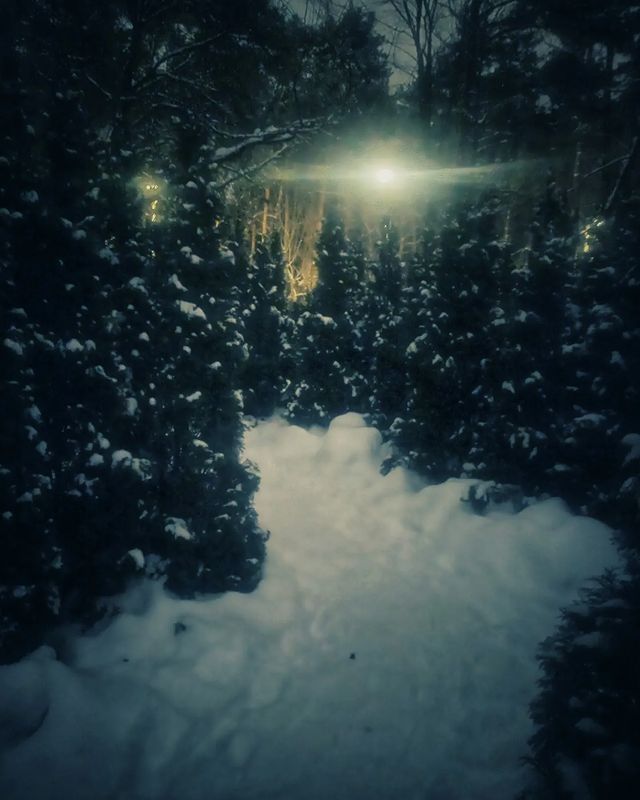 elenakonova в LOOKY. #winter. Чарующая красота зим...