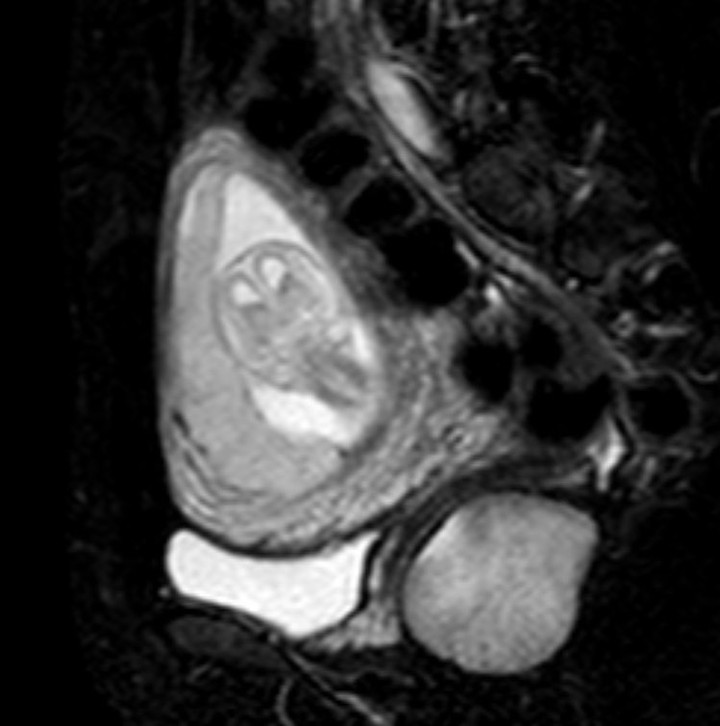 russianradiology в LOOKY — фото 5