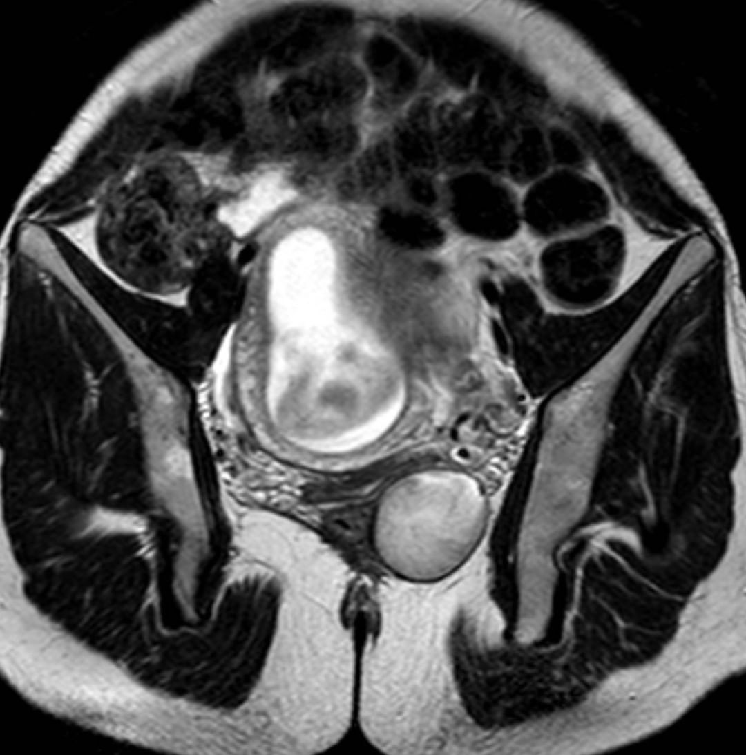 russianradiology в LOOKY — фото 2