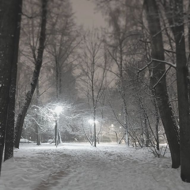 dana_kerroll в LOOKY. #зима,#зима2022,#щукино,#янефотограф,#яфотограф,#moscow,#winter,#winter2022,#russia,#snow. В тот миг, когда сне...
