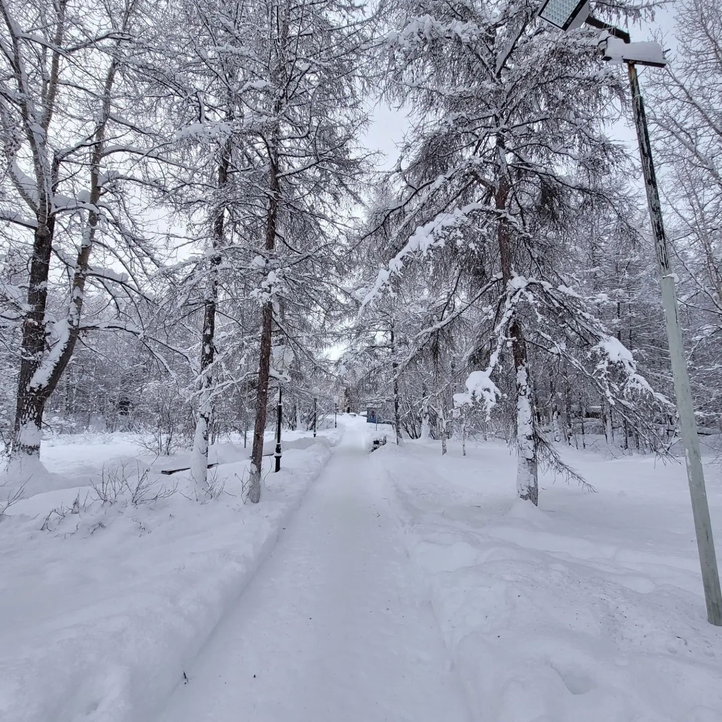 alena167167 в LOOKY. . null
