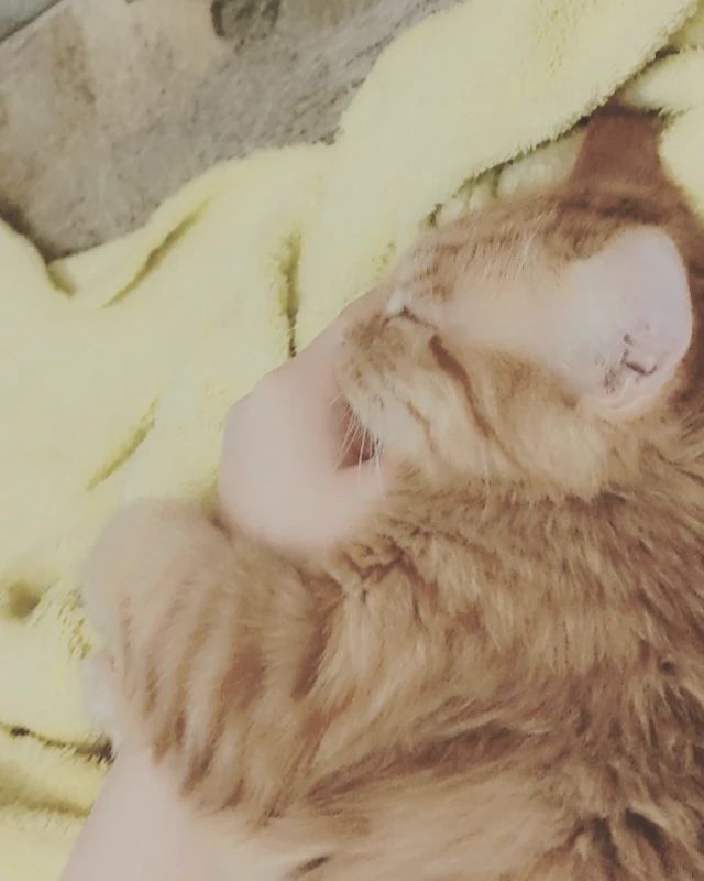 ulyanka.kari в LOOKY. . 🧡💕