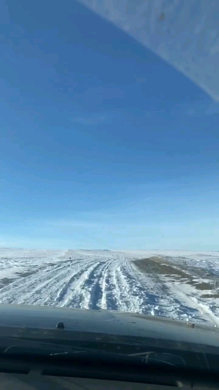 shulevmikhail в LOOKY. . null
