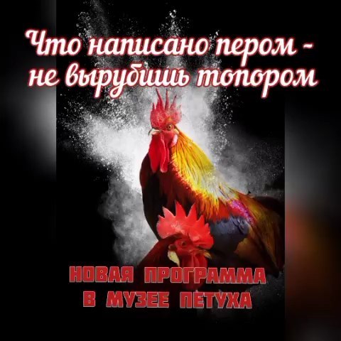 muzeypetuha в LOOKY. #музейпетуха,#музейдетям,#музейпетухавпетушках,#владимир,#33регион. И ещё одна новая про...
